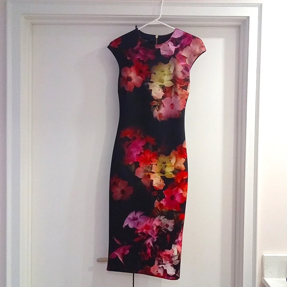 NWT! Ted Baker Catina Cascading Floral Sheath Ted 1(US 4) - Picture 4 of 15